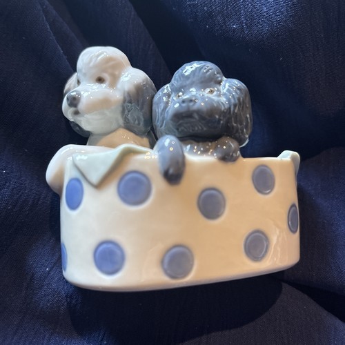 Nao lladro poodles - and, dots